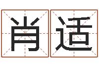 肖适鼠年取名-付姓男孩起名