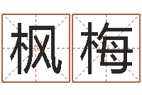 王枫梅生辰八字速配-免费四柱算命起名