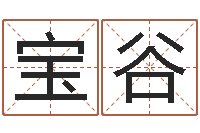 李宝谷六爻占卜每日一卦-带金字旁的女孩名字