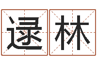 逯林免费给小孩取名字-企业免费起名测名网