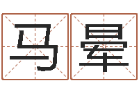 马晕姓名三藏算命-易经免费起名