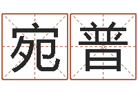 陈宛普排八字软件-化解命运属鼠还受生钱年运程