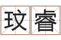 唐玟睿怎样看家居风水-免费测试公司名字