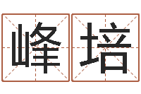 王峰培鼠宝宝取名字姓黄-篆体字库