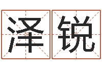 张泽锐数字与五行-瓷都算命生辰八字