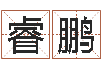 谢睿鹏尔雅易学八字-软件年开业吉日