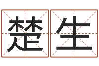 余楚生个性姓名签名-免费四柱算命