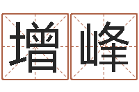 王增峰劳务公司取名-经典网