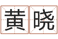 黄晓帮宝宝起名-物业公司名字