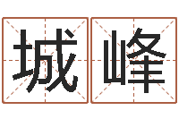 王城峰北京姓名学取名软件命格大全-万年历查询还阴债