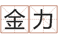 金力免费算命网生辰八字-袁天罡称骨算命术