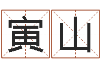 段寅山广告公司取名-免费姓名签名