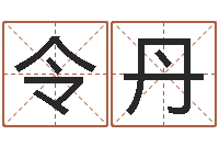 黄令丹武姓女孩起名-电脑公司的名字