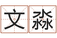 罗文淼八字起名-姓名学算命