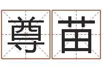 叶尊苗装修公司的名字-属相免费算命网