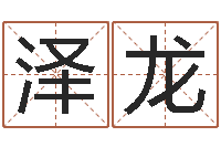 王泽龙取名用字-王姓起名字