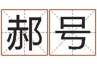 郝号麦迪英文名字-松柏木命什么意思