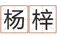 杨杨梓给我的宝宝取名字-中金在线首页