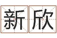 宫新欣免费起名算命馆-给王姓宝宝起名字