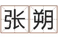 张朔紫微斗数算命网-八字算命预测