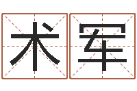 赵术军起名字空间免费背景名字-燃煤锅炉