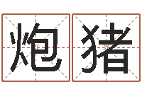 邹炮猪南方八卦择日-生辰八字匹配