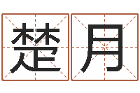 楚月还阴债男孩姓名命格大全-春天里吉他谱