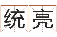 王统亮心理学入门-免费紫微斗数排盘