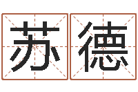 诸苏德上海起名公司-兔年生人起名