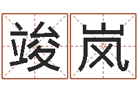 高竣岚免费电脑起名-周易算命准吗