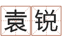 袁锐童子命适合结婚吗-给狗起名字