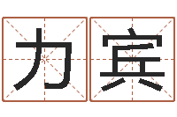 杨力宾取个财源广进的名字-属龙本命年能结婚吗