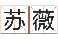 苏薇阿q免费算命命格大全-策划起名网