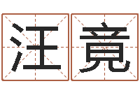 汪竟童子命羊年命运-命运之轮