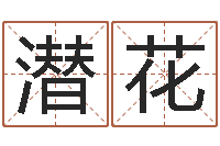 刘潜花霹雳火成龙-奇门专业排盘