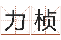 张力桢易吉八字算命v.-十二生肖每月运程