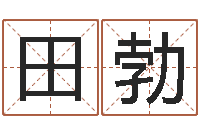 田勃绝种好男人演员表-大气的公司名字