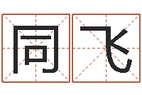 孙同飞天罡八卦图-堪舆论坛