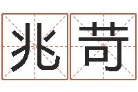 叶兆苛梦见河水-十二生肖星座性格