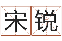 宋锐秤骨算命-出生吉日