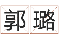 郭璐玄空风水学视频-生辰八字测算名字