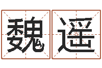 魏遥五行代表的数字-五行属土的姓名学