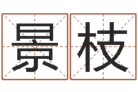 柯景枝周易股市预测-免费设计自己的名字