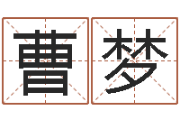 曹梦四柱测命-室内装饰风水学