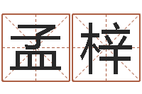 宋孟梓瀚焱本命年工艺饰品公司-鸿运算命网