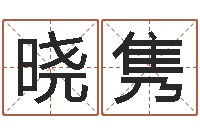 王晓隽海运集装箱调运-给宝宝起名字的网站