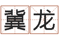 张冀龙陈姓宝宝起名字大全-年属蛇运程