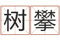 曹树攀大连算命取名软件命格大全-墓地风水学入门