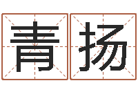 闵青扬电脑算命打分-姓名情侣配对软件