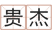 朱贵杰还受生钱年运势属鸡-风水易术